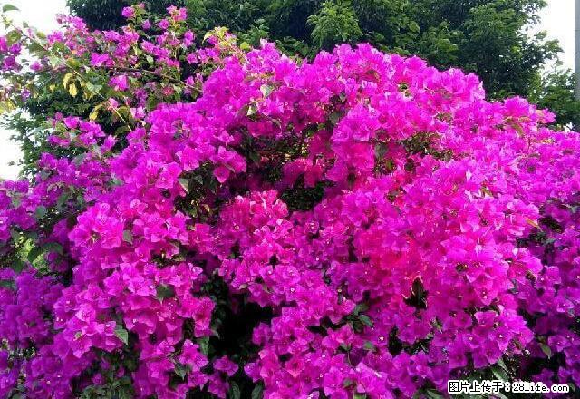 西门车站 1室0厅1卫 - 房屋出租 - 房屋租售 - 雅安分类信息 - 雅安28生活网 ya.28life.com