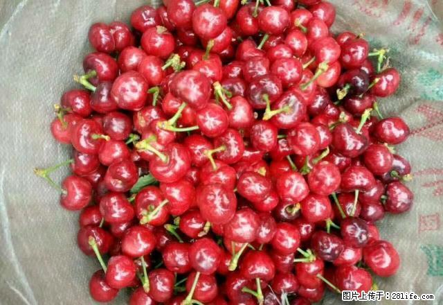 八一路 1室1厅1卫 - 房屋出租 - 房屋租售 - 雅安分类信息 - 雅安28生活网 ya.28life.com