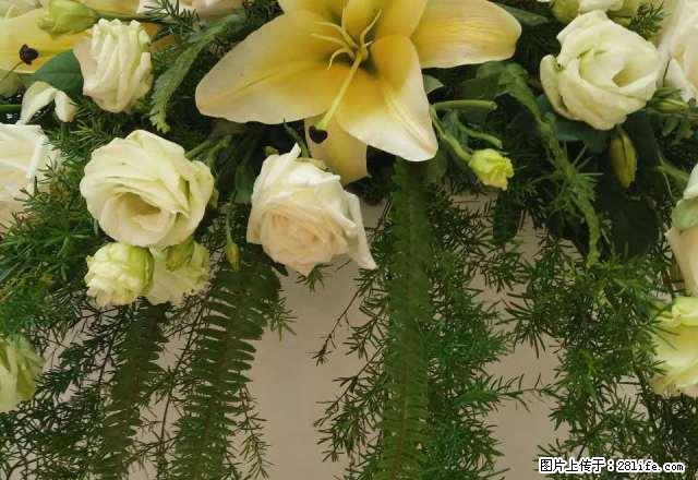 雨城川农新校区 1室0厅49平米 简单装修 押一付三 - 房屋出租 - 房屋租售 - 雅安分类信息 - 雅安28生活网 ya.28life.com