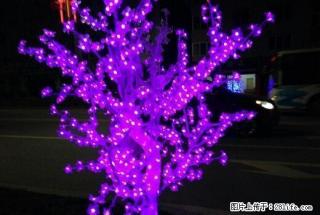 雨城 全雨城 西门车站附近押一付一 1室 - 雅安28生活网 ya.28life.com