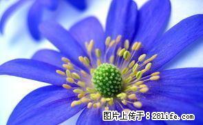 雨城华兴街 1室1厅60平米 简单装修 押一付三 - 雅安28生活网 ya.28life.com