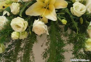 雨城川农新校区 1室0厅49平米 简单装修 押一付三 - 雅安28生活网 ya.28life.com