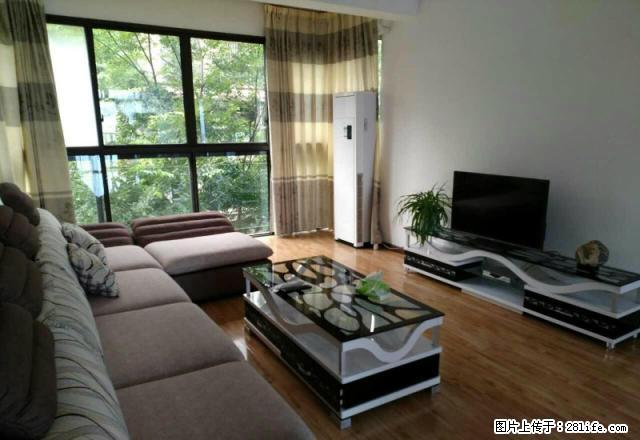 领地小高层精装拎包入住,急租 - 房屋出租 - 房屋租售 - 雅安分类信息 - 雅安28生活网 ya.28life.com