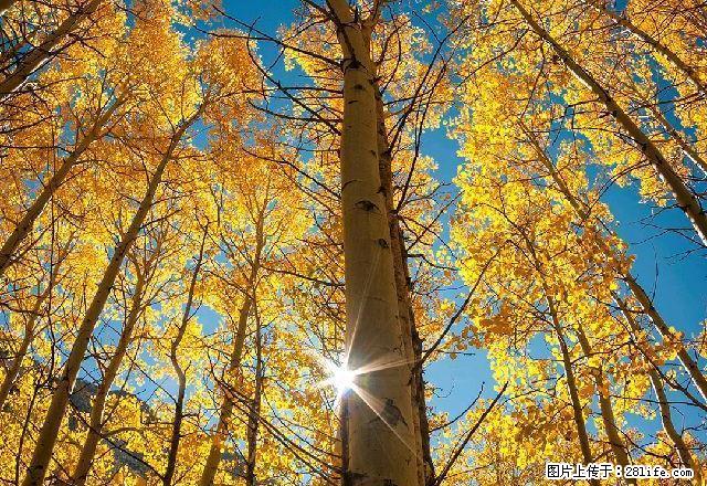 雨城货运站 1室0厅1卫 - 房屋出租 - 房屋租售 - 雅安分类信息 - 雅安28生活网 ya.28life.com