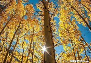 雨城货运站 1室0厅1卫 - 雅安28生活网 ya.28life.com