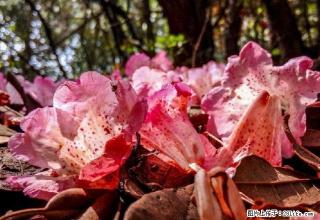 雨城区货运站 2室1厅1卫 - 雅安28生活网 ya.28life.com