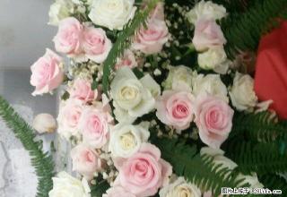 雨城川农喷江桥附近 1室0厅1卫 - 雅安28生活网 ya.28life.com