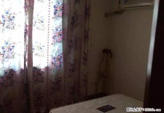 姚桥新区纸浆厂宿舍 2楼 套3 急租 停车 - 雅安28生活网 ya.28life.com