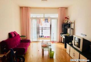 整租 恒信上海城 精装套二 采光超好 领包入住 - 雅安28生活网 ya.28life.com