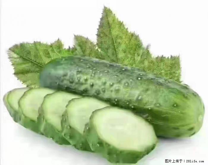 【生活小常识】吃黄瓜的好处 - 生活百科 - 雅安生活社区 - 雅安28生活网 ya.28life.com