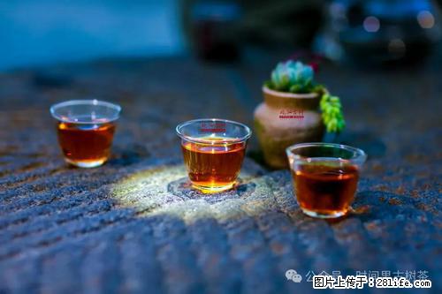 时间果百年古树2025年春红茶 - 购物交流 - 雅安生活社区 - 雅安28生活网 ya.28life.com