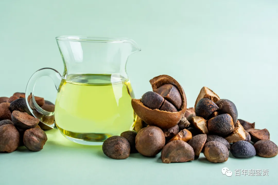 世界没有真相，只有认知，最好的食用油是中国的山茶油！ - 雅安生活资讯 - 雅安28生活网 ya.28life.com