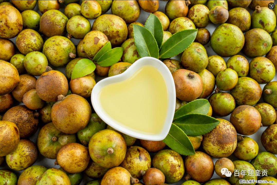 世界没有真相，只有认知，最好的食用油是中国的山茶油！ - 雅安生活资讯 - 雅安28生活网 ya.28life.com