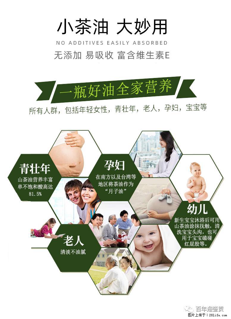 世界没有真相，只有认知，最好的食用油是中国的山茶油！ - 雅安生活资讯 - 雅安28生活网 ya.28life.com