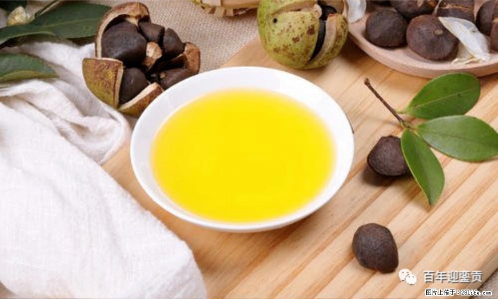 世界没有真相，只有认知，最好的食用油是中国的山茶油！ - 雅安生活资讯 - 雅安28生活网 ya.28life.com