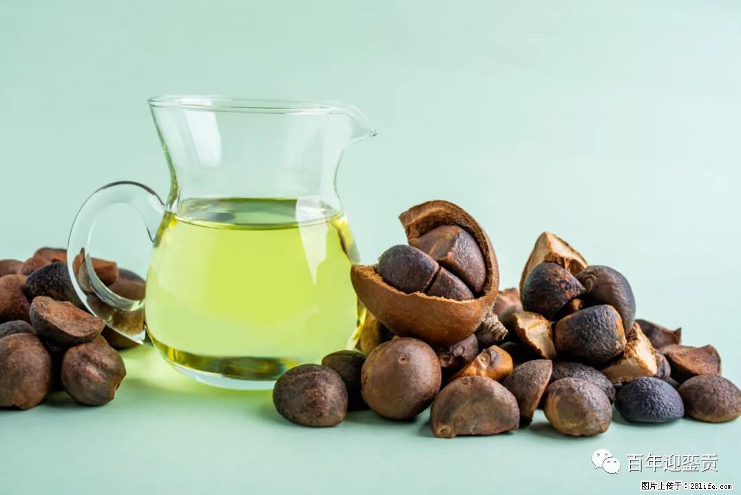 世界没有真相，只有认知，最好的食用油是中国的山茶油！ - 雅安生活资讯 - 雅安28生活网 ya.28life.com