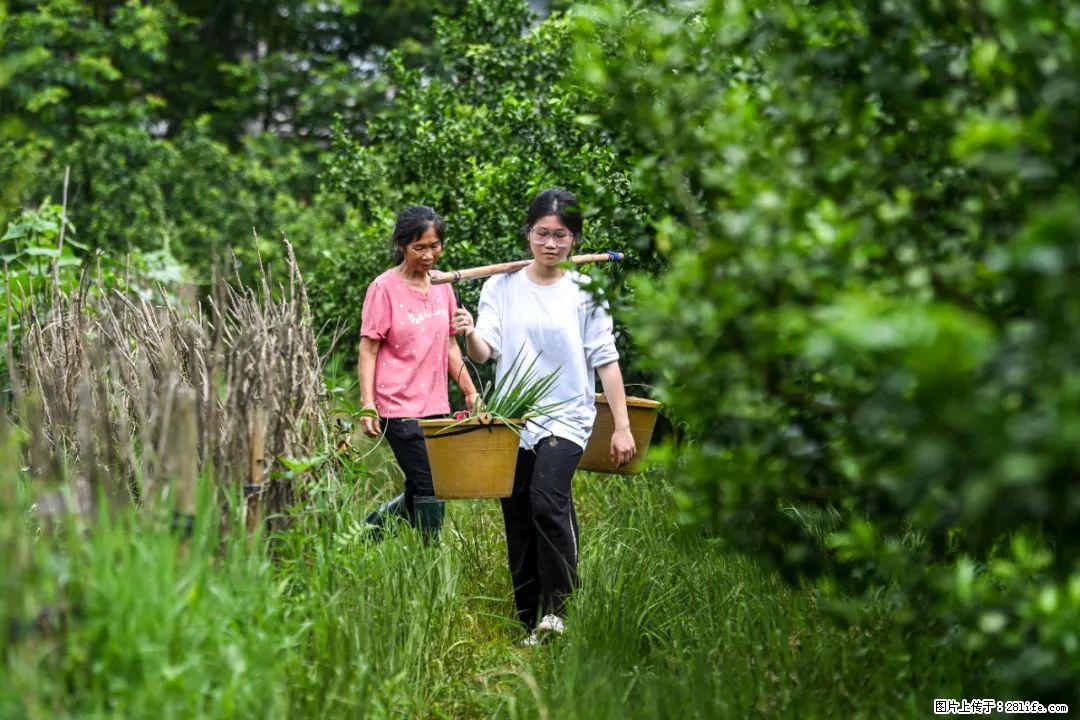 全网追的“扁担女孩”,找了一份暑假工,时薪12元 - 雅安生活资讯 - 雅安28生活网 ya.28life.com