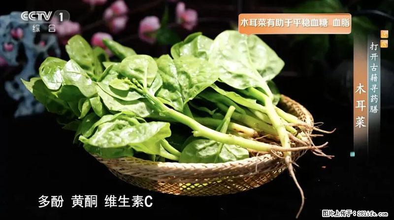 比牛奶补钙还厉害!凉血解毒、稳血糖...这菜冬天必吃,很多人却当草 - 雅安生活资讯 - 雅安28生活网 ya.28life.com
