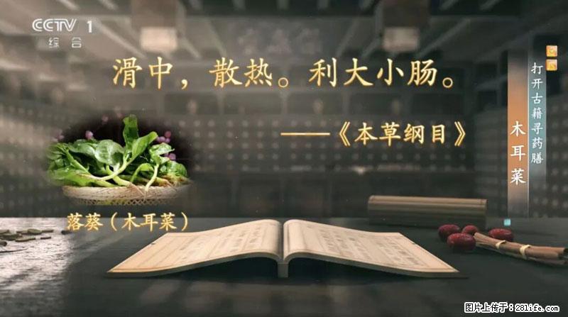 比牛奶补钙还厉害!凉血解毒、稳血糖...这菜冬天必吃,很多人却当草 - 雅安生活资讯 - 雅安28生活网 ya.28life.com