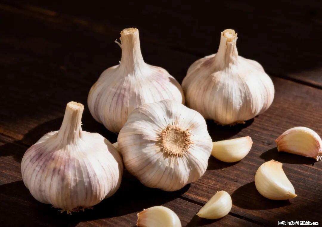 关于大蒜，除了“天然抗生素”，这4个谣言更该警惕! - 雅安生活资讯 - 雅安28生活网 ya.28life.com